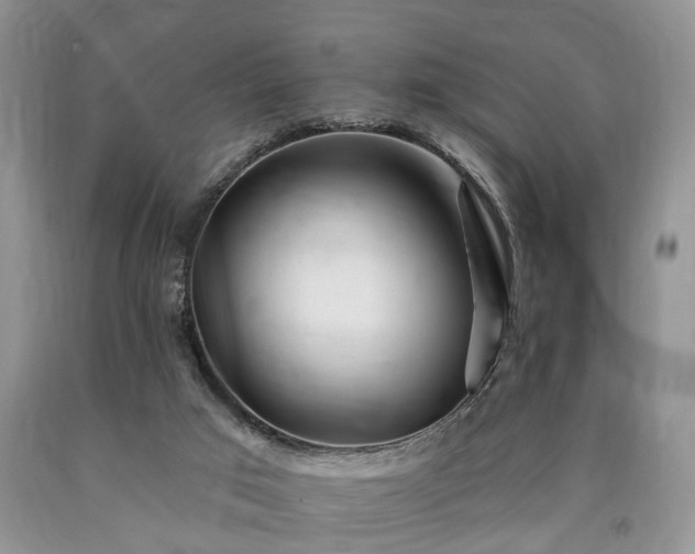 X0000090480017200707201425