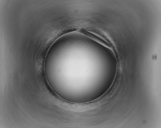 X0000090480018200707201425