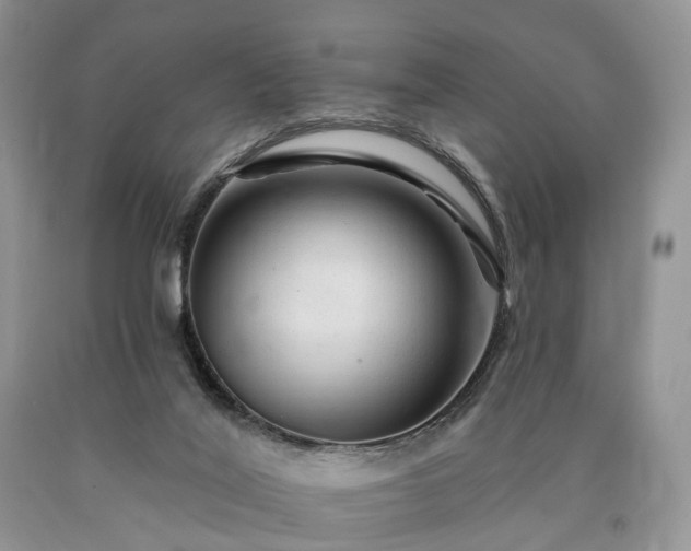 X0000090480020200707201425