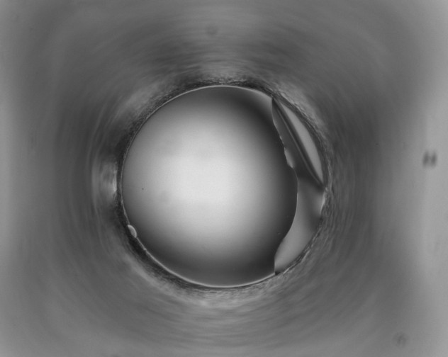 X0000090480021200707201425