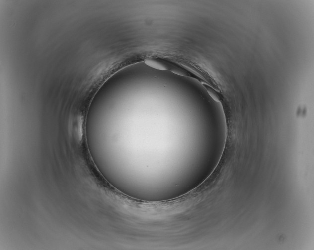 X0000090480022200707201425