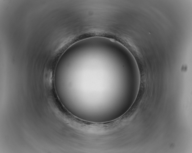 X0000090480024200707201425