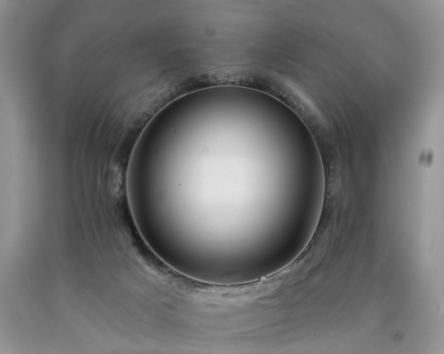 X0000090480025200707201425