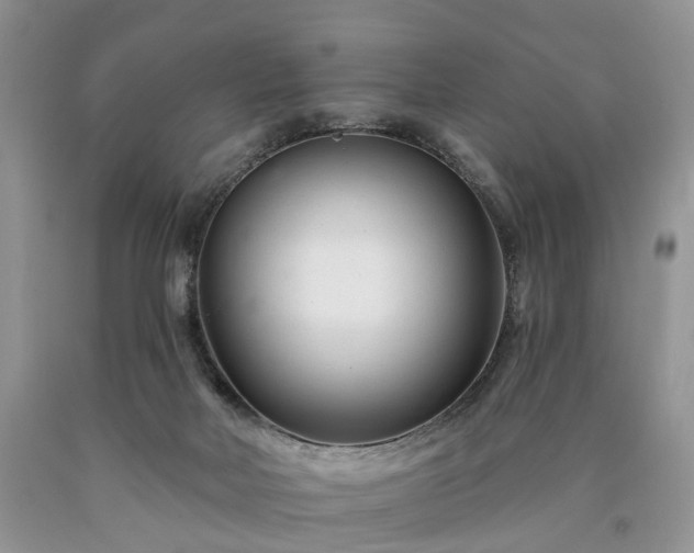 X0000090480026200707201425