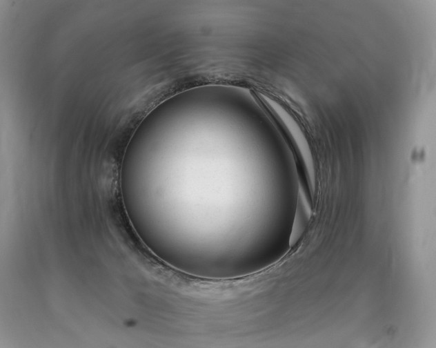 X0000090480029200707201425