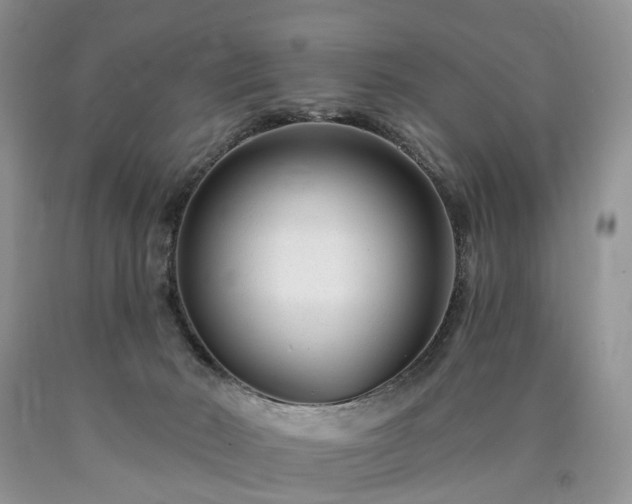 X0000090480030200707201425