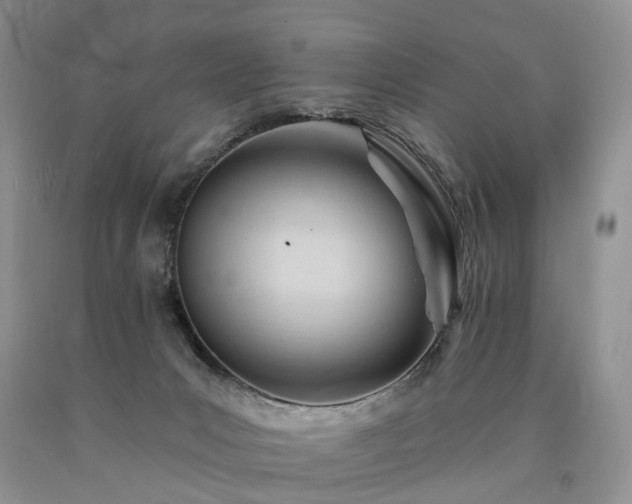 X0000090480031200707201425