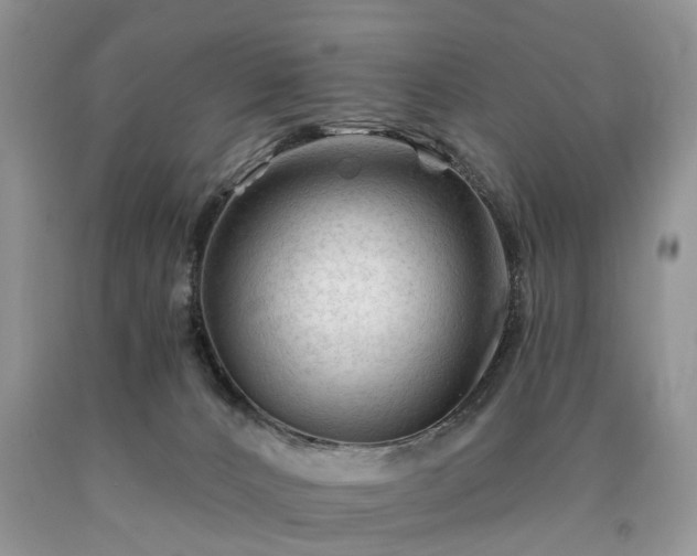 X0000090480032200707201425