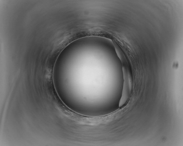 X0000090480033200707201425