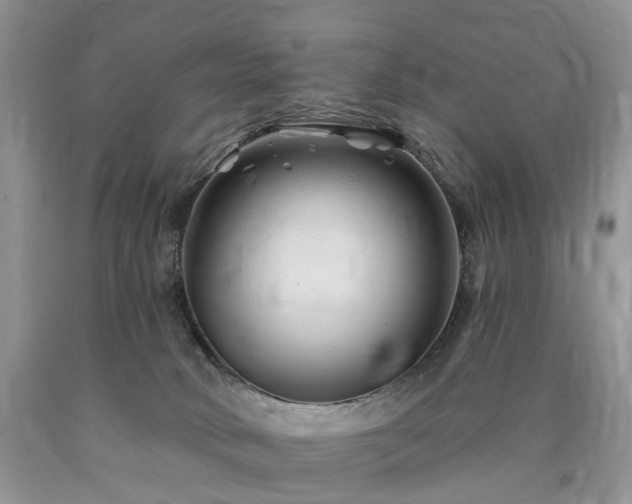 X0000090480034200707201425