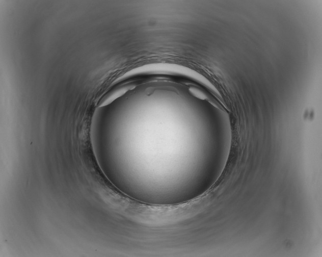 X0000090480037200707201425