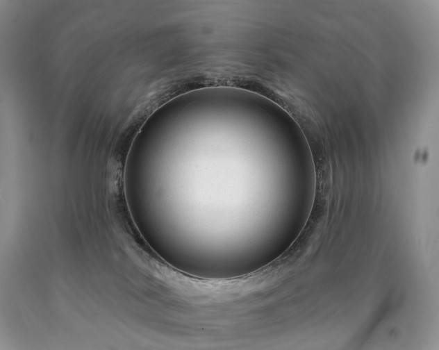 X0000090480038200707201425