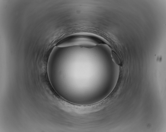 X0000090480039200707201425