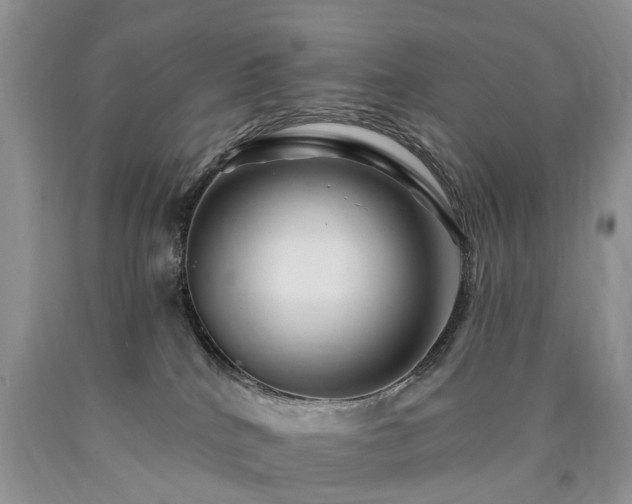 X0000090480040200707201425