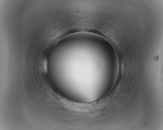 X0000090480042200707201425