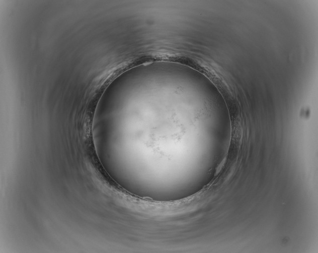 X0000090480043200707201425