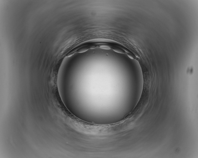 X0000090480044200707201425