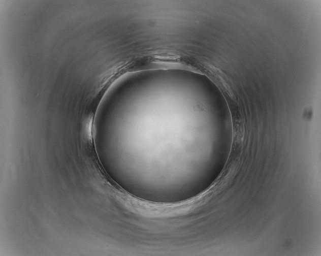 X0000090480047200707201425