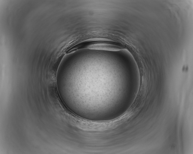 X0000090480048200707201425