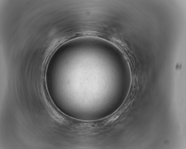 X0000090480049200707201424