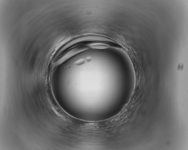 X0000090480050200707201424