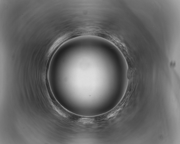 X0000090480051200707201424