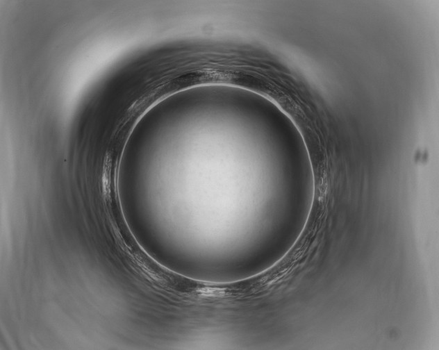 X0000090480052200707201424