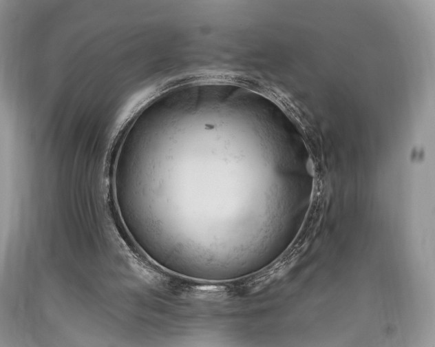 X0000090480053200707201424