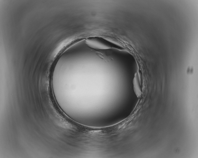 X0000090480054200707201424