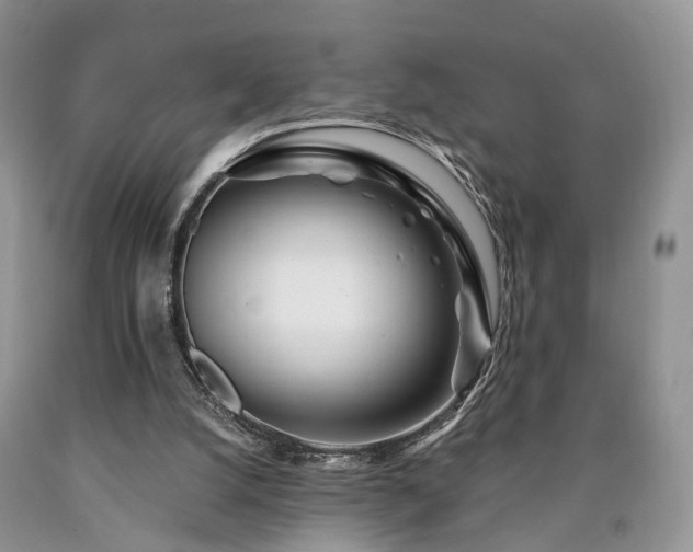 X0000090480056200707201424