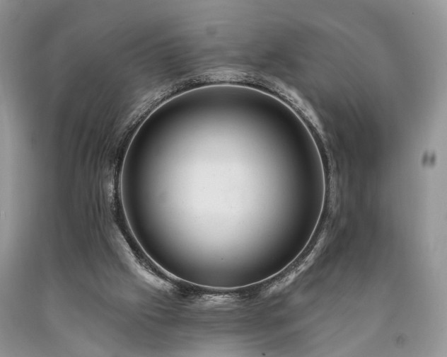 X0000090480057200707201424