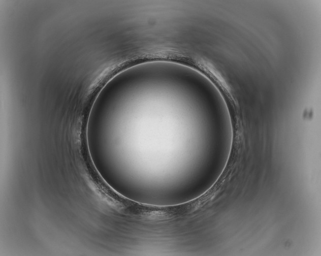 X0000090480058200707201424