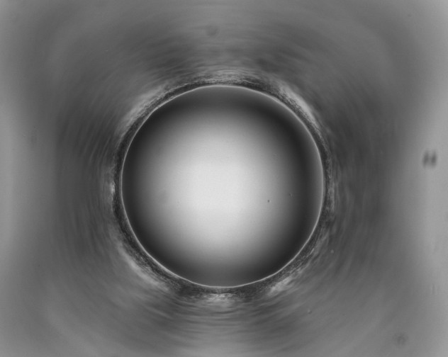 X0000090480059200707201424