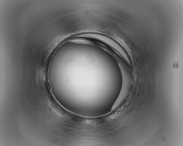 X0000090480060200707201424