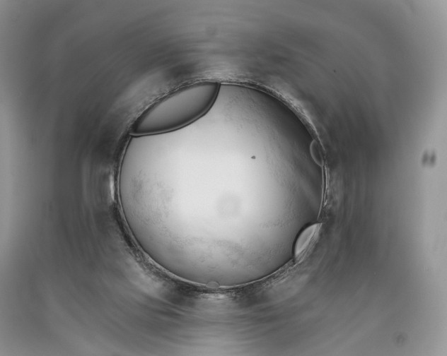 X0000090480061200707201424