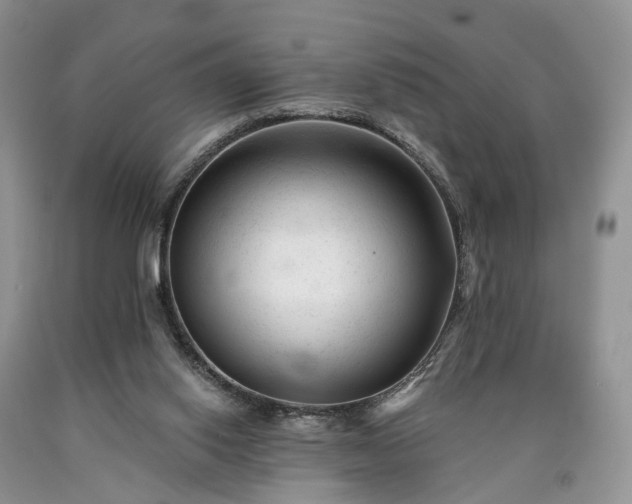 X0000090480062200707201424