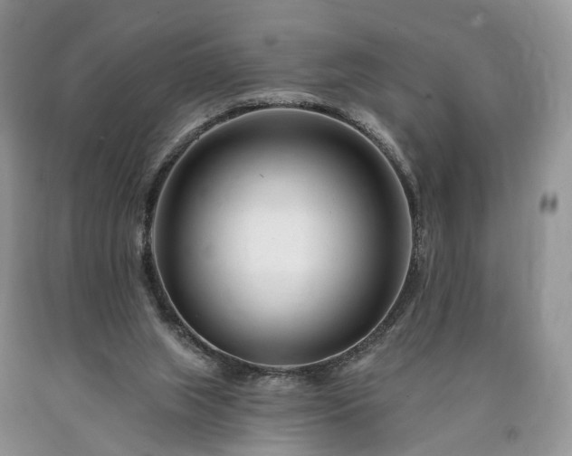 X0000090480063200707201424