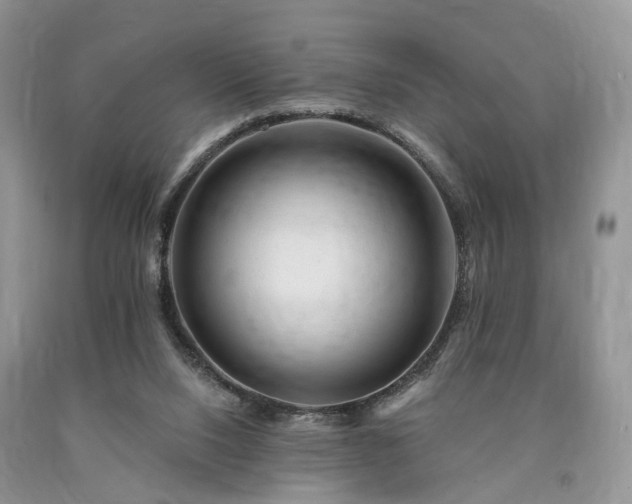 X0000090480064200707201424