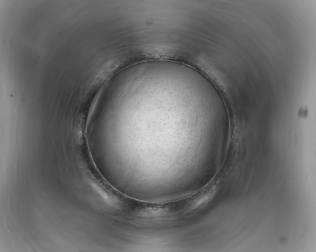 X0000090480065200707201424