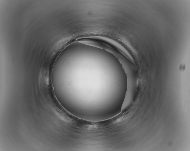 X0000090480068200707201424