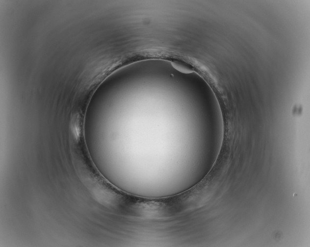 X0000090480069200707201424