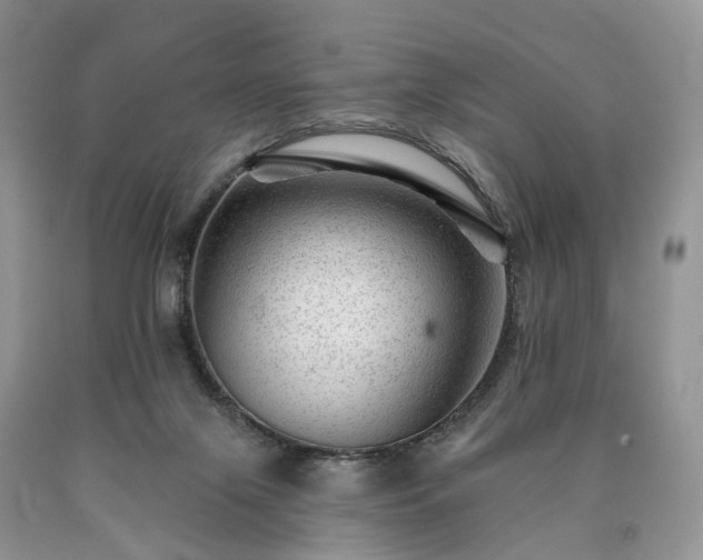 X0000090480071200707201424