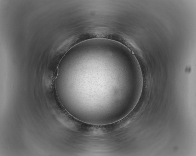 X0000090480073200707201424