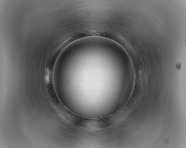 X0000090480075200707201424