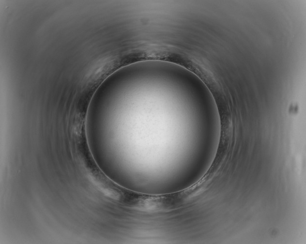 X0000090480078200707201424