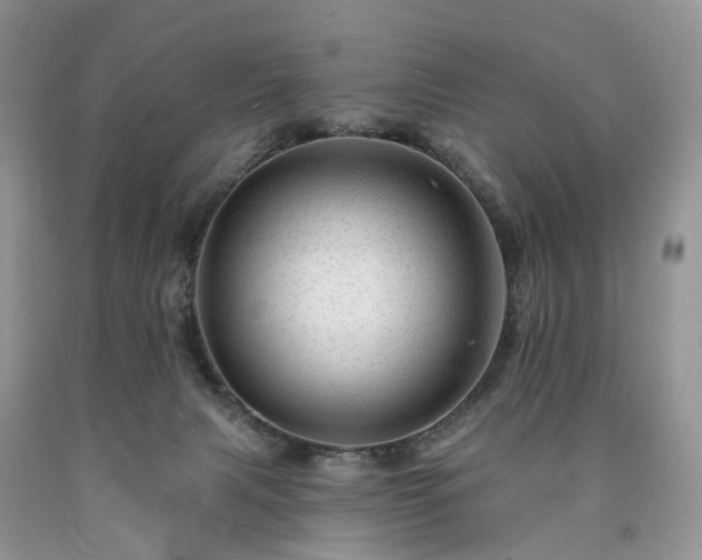 X0000090480079200707201424