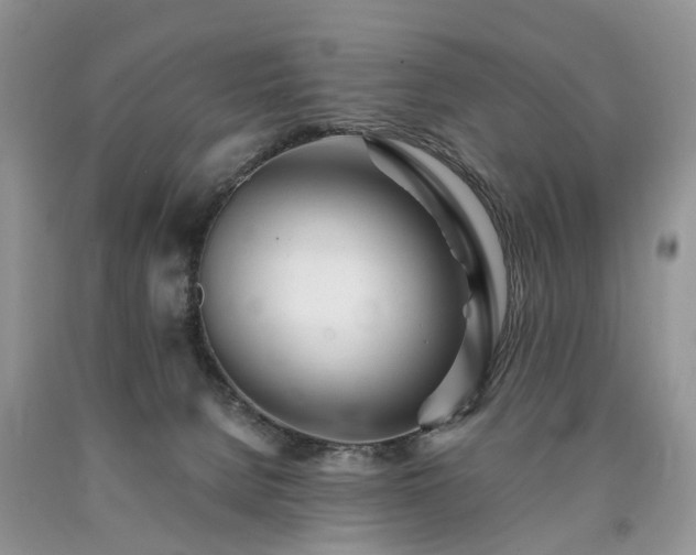 X0000090480080200707201424