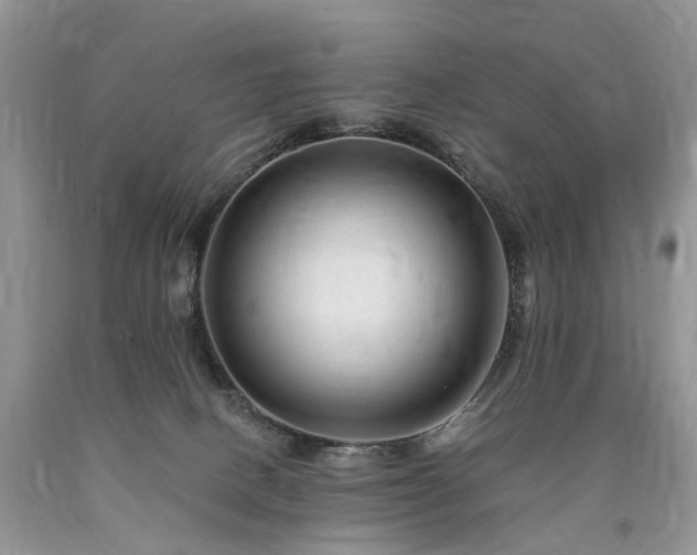 X0000090480082200707201424