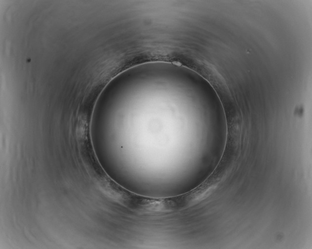 X0000090480083200707201424