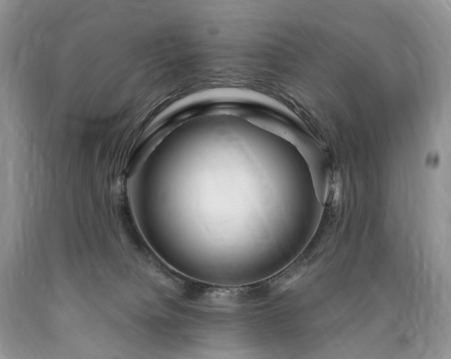 X0000090480084200707201424